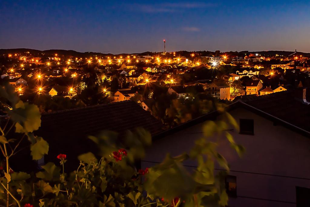 Nespecifikovaný výhled na destinaci Sremska Kamenica nebo výhled na město při pohledu z apartmánu