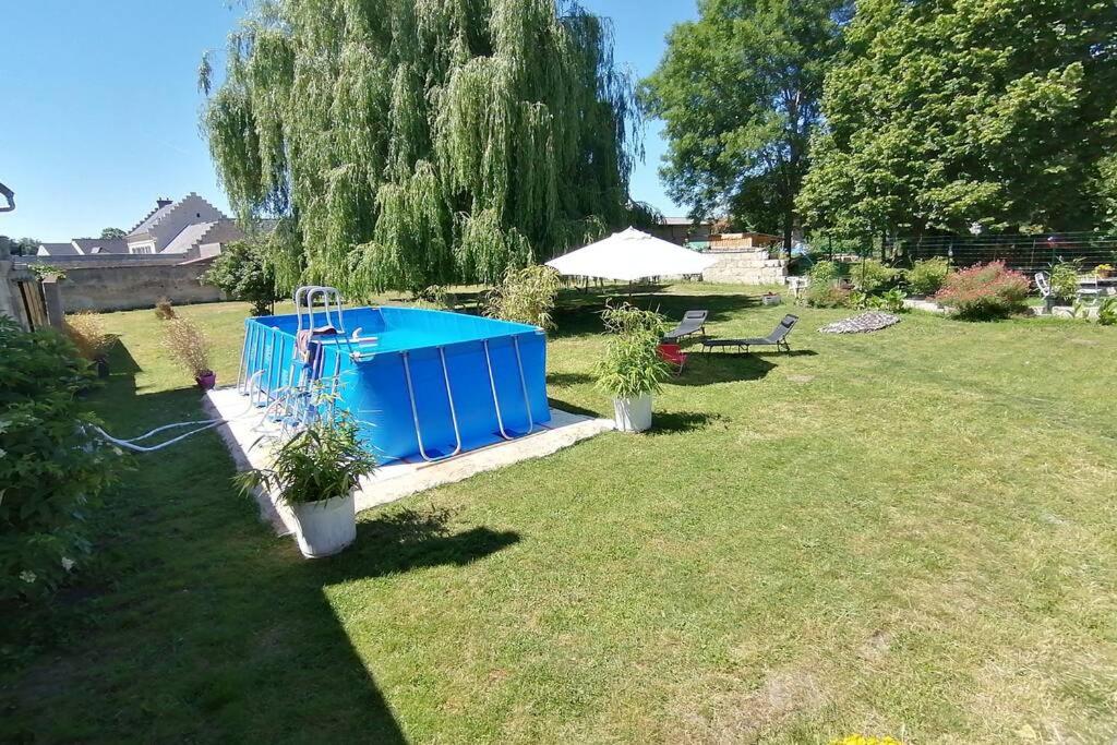 une cour avec deux plantes en pot dans l'herbe dans l'établissement Maison chaleureuse et de détente avec piscine et spa, à Chassemy