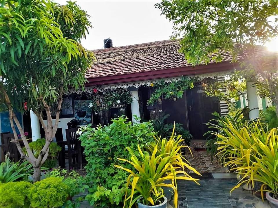 Zahrada ubytování Alexandra Family Villa