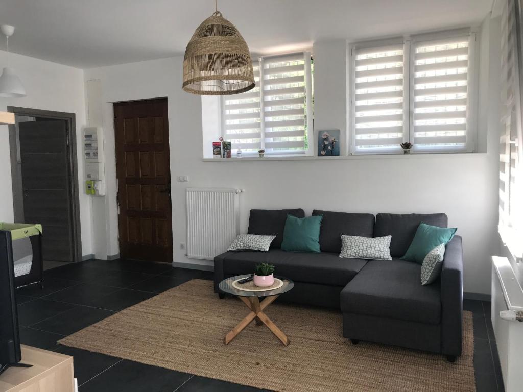 a living room with a couch and a table at Appartement au cœur du Val d&#39;Argent in Sainte-Croix-aux-Mines
