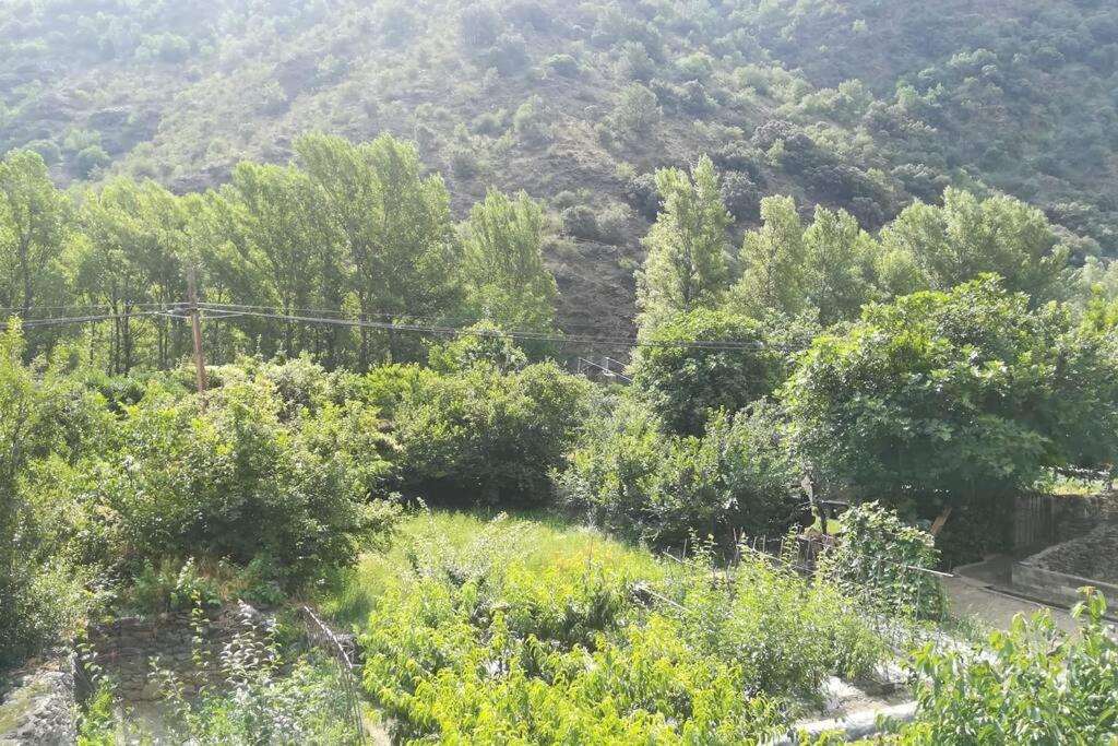 Cèntric allotjament A RIALP, Rialp – Precios actualizados 2022