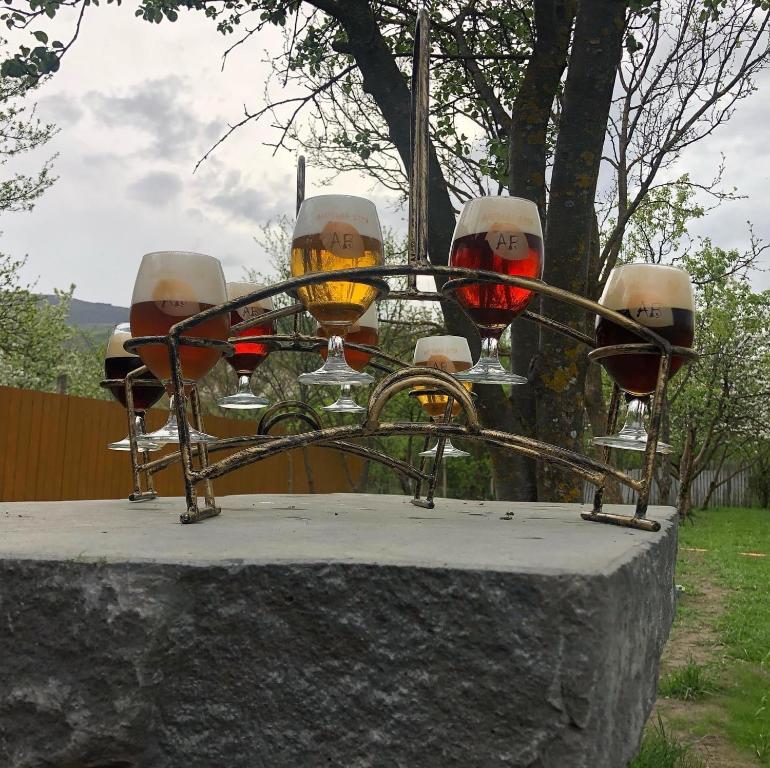Zahrada ubytování Brewery House&Beer Spa