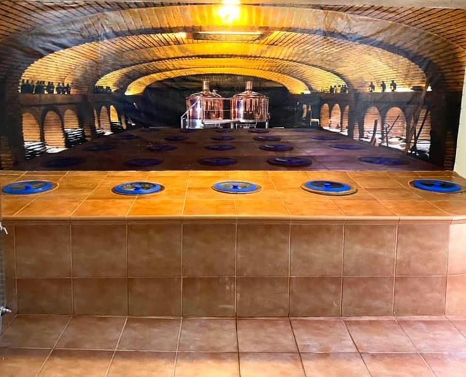 Fotografie z fotogalerie ubytování Brewery House&Beer Spa v destinaci Aspindza