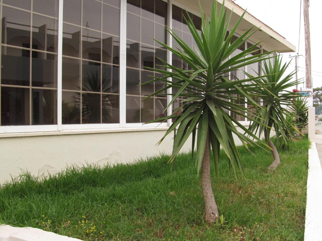 Saint Amon Hotel - 19