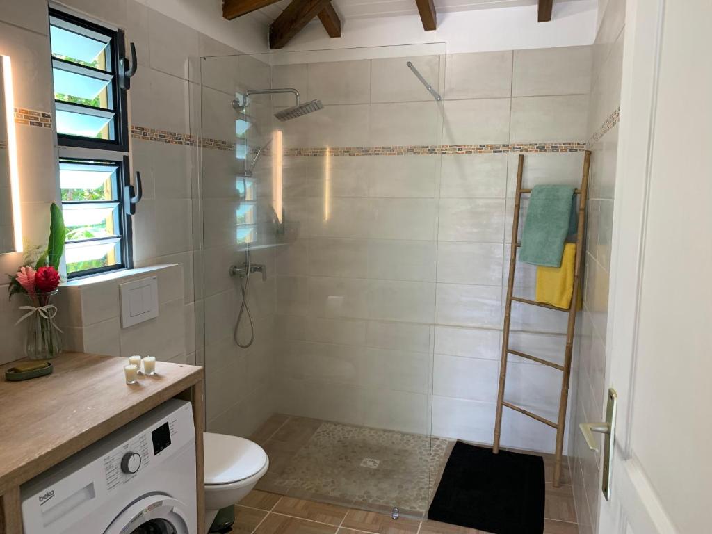 a bathroom with a shower with a toilet and a sink at LeNid in Le Gosier