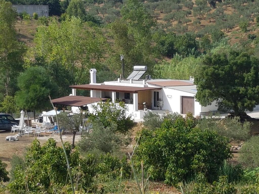una casa blanca en medio de un campo en Amandolas, en Casarabonela