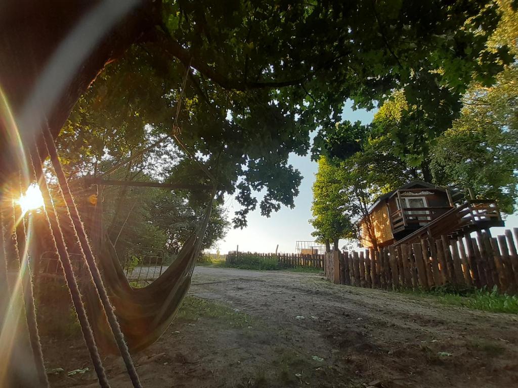 eine Hängematte, die von einem Baum neben einer unbefestigten Straße hängt in der Unterkunft Domek na drzewie in Trześcianka