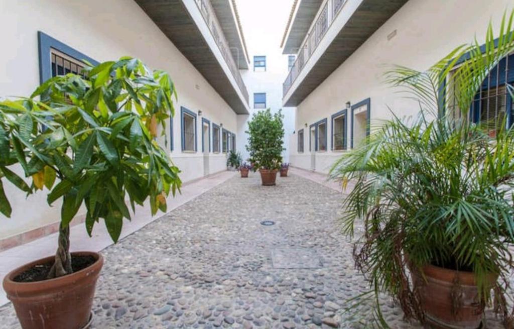 Triana 143 - WIFI, Sevilla – Precios actualizados 2023