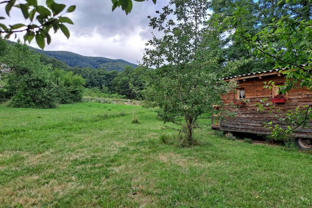 Příroda nedaleko chaty