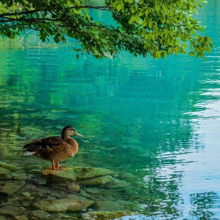 PLITVICE FAIRYTALE - 19