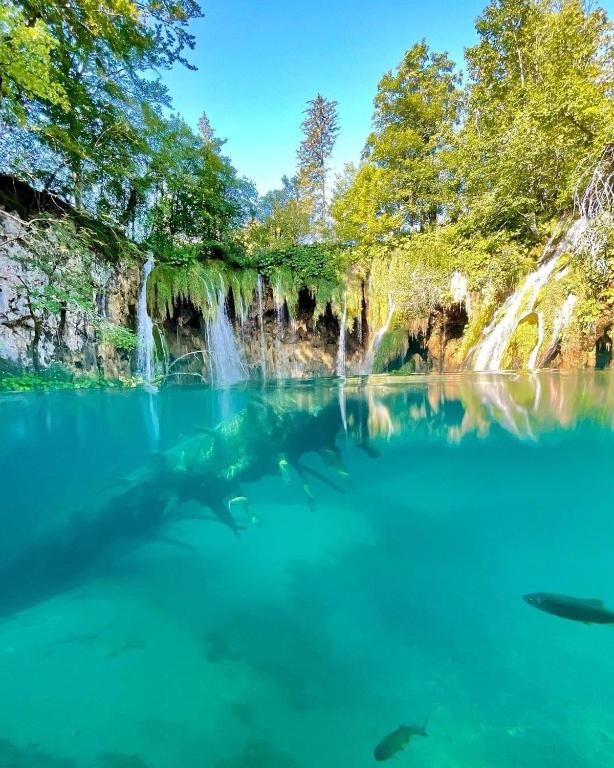 PLITVICE FAIRYTALE - 16