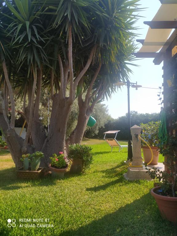 Ogród w obiekcie La stanza delle Muse in Villa con Piscina