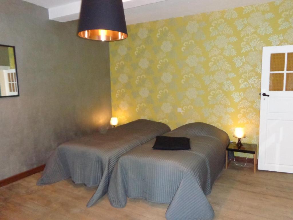 een slaapkamer met 2 bedden in een kamer bij Chez Marraine in Nassogne