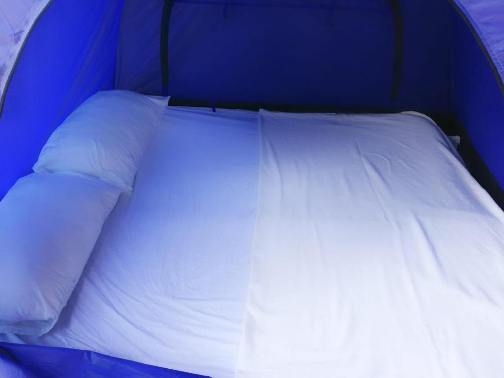 Postel nebo postele na pokoji v ubytování Mandala Camping