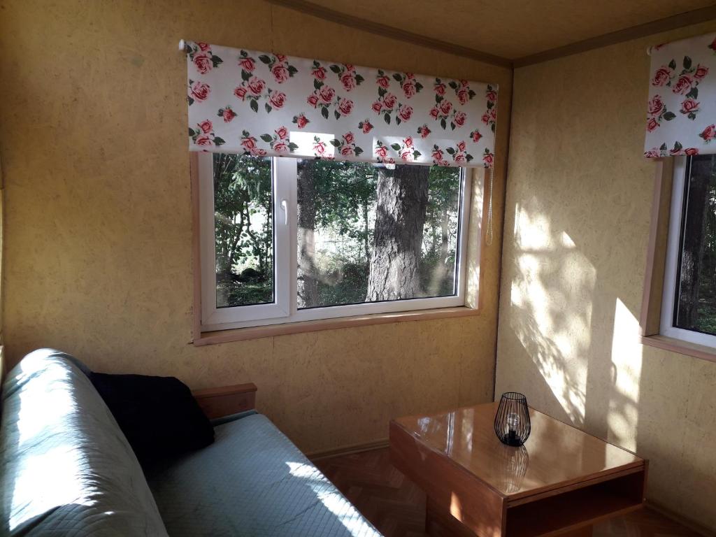 a living room with a couch and two windows at Rossu metsamaja in Saksa