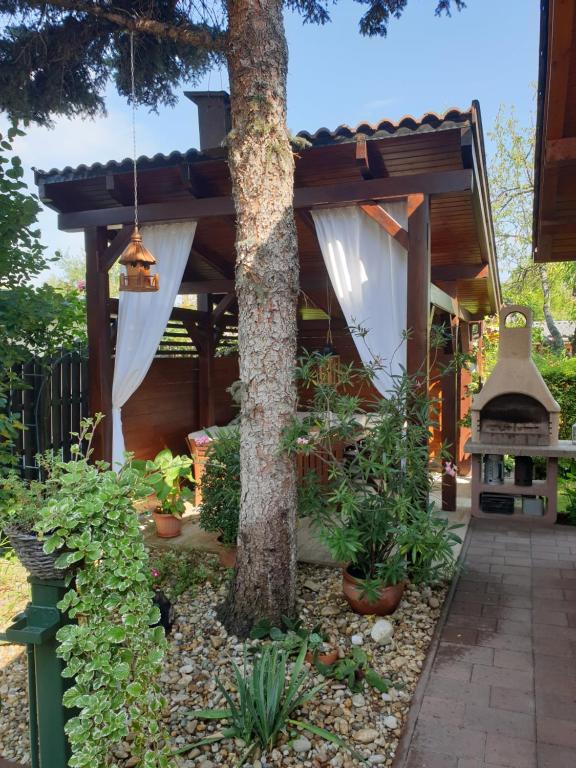 un giardino con un albero e una casa di Häuschen Viktória a Zamárdi