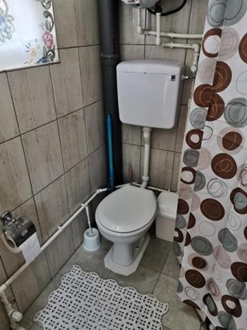 Koupelna v ubytování Borsko jezero