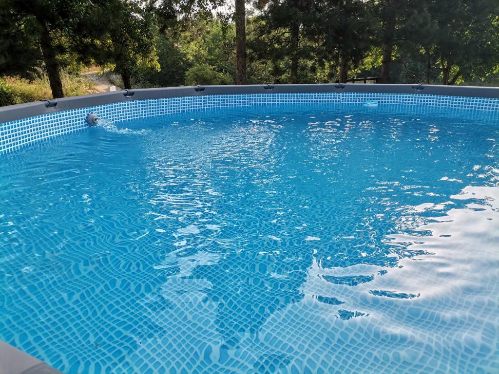 Bazén v ubytování Borsko jezero nebo v jeho okolí