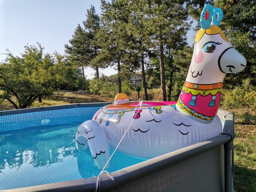 Bazén v ubytování Borsko jezero nebo v jeho okolí