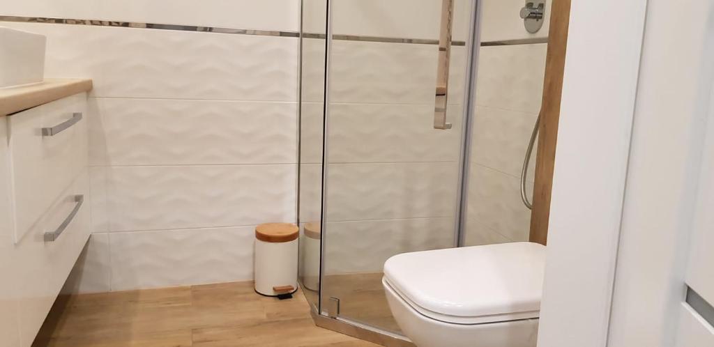 Kúpeľňa v ubytovaní Apartament Premium