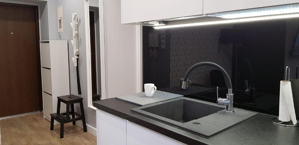 A kitchen or kitchenette at Apartament Premium