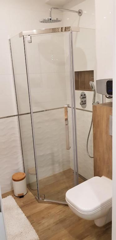 Kúpeľňa v ubytovaní Apartament Premium