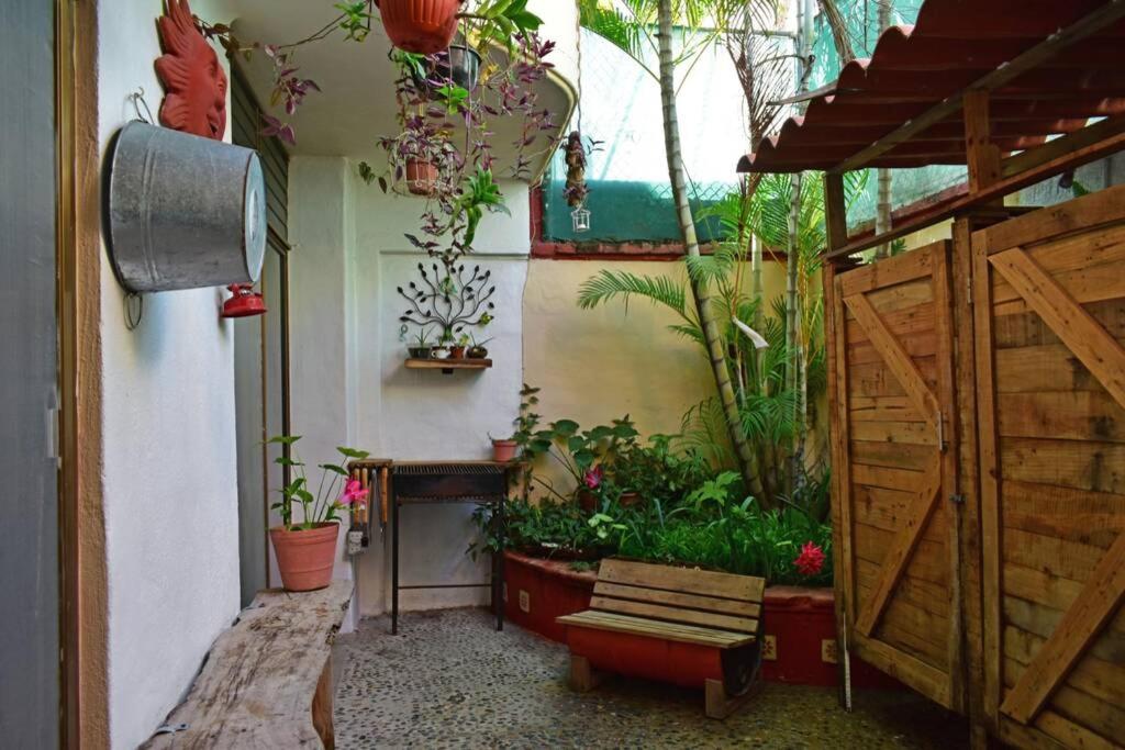 a garden with a wooden gate and plants in a room at Casa Aramara in Puerto Vallarta