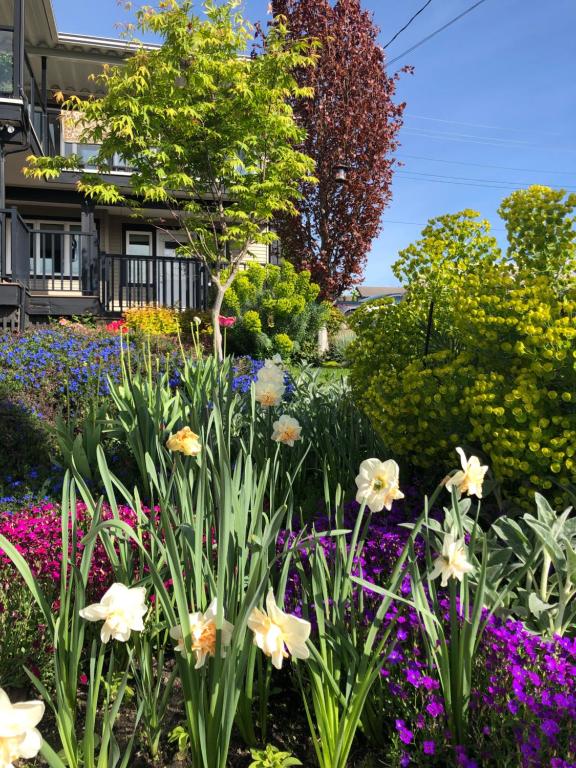 un jardín de flores frente a una casa en Lovely J Home -Stunning river view cozy two bedroom private suite, en New Westminster