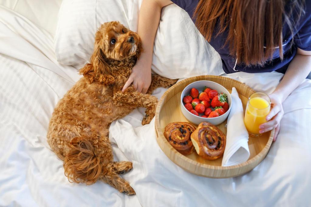 Quest Robina - Resim 37