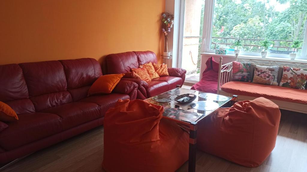 a living room with a couch and a coffee table at Rusne apartment in Rusnė