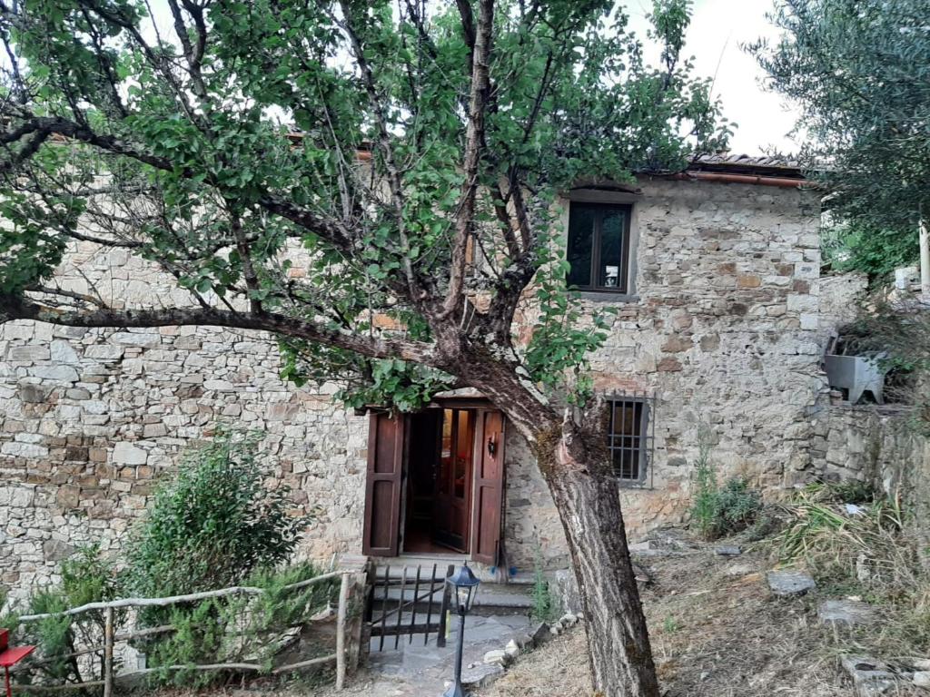 MEA CASA Toscana - Maisonette-Wohnung