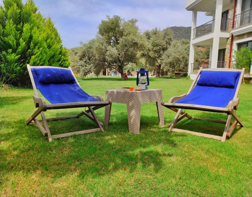 Zahrada ubytování Oliva Casa Apart Hotel