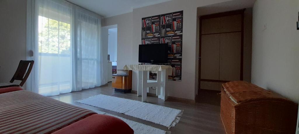 Televízia a/alebo spoločenská miestnosť v ubytovaní Könyvkuckó Apartman