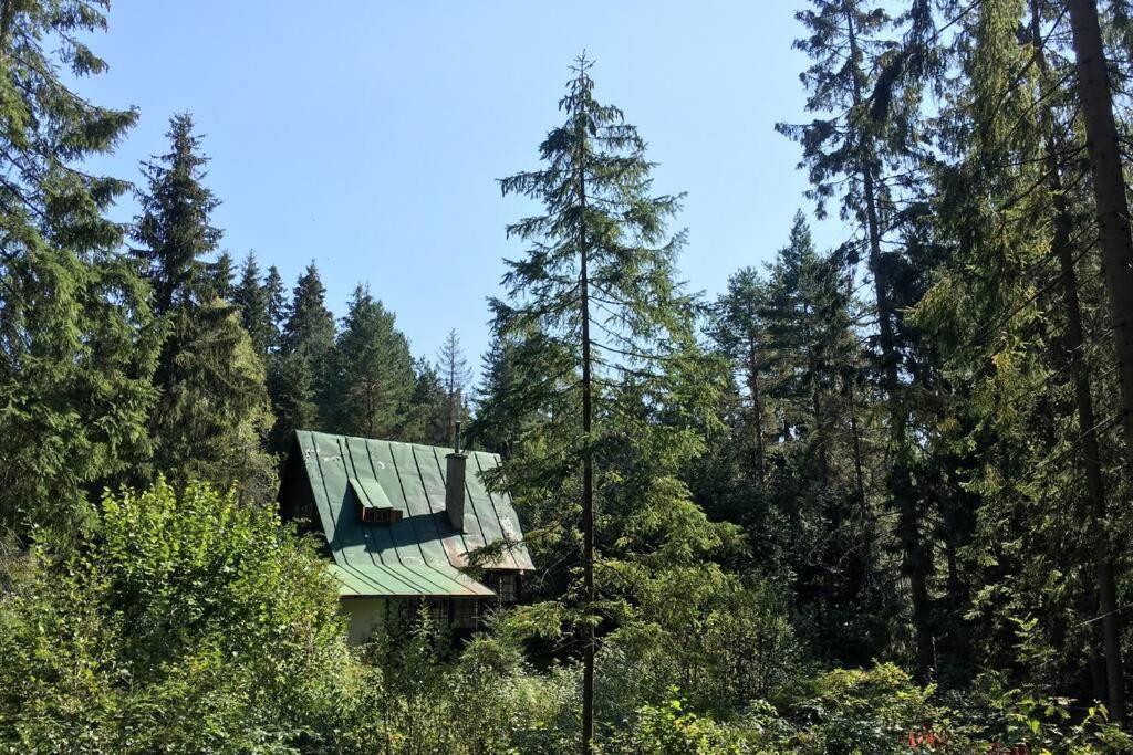 a house in the middle of a forest at Enchanted Forest Chalet in Tatranska Strba