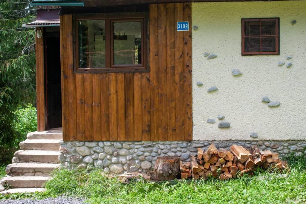 Zahrada ubytování Enchanted Forest Chalet