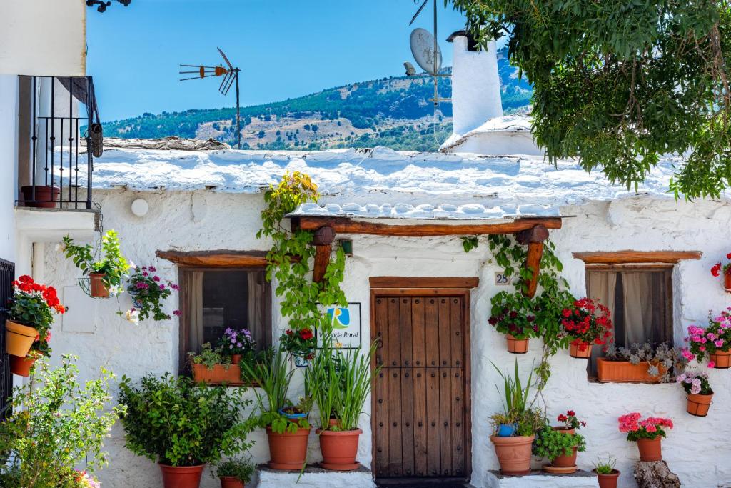 a white house with potted plants on it at El Gato Negro in Capileira