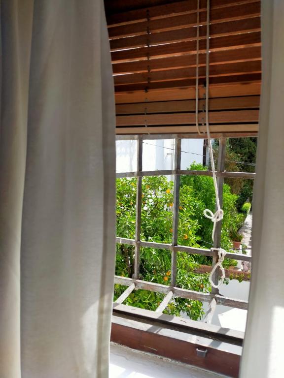 La Casita del Corralon - 2