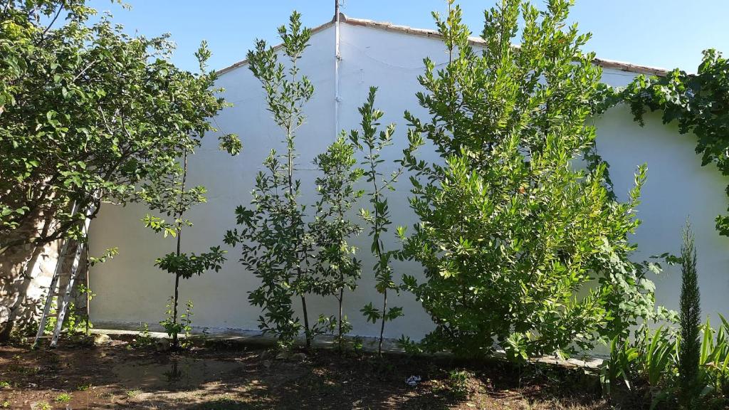 CASA JUNTO AL PARQUE NATURAL DE LAS BARDENAS - Casa Con Cinque Camere Da Letto
