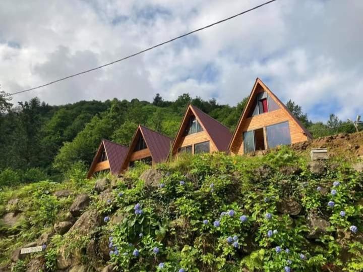 rasot dag evi bungalovlari cayeli turkey booking com