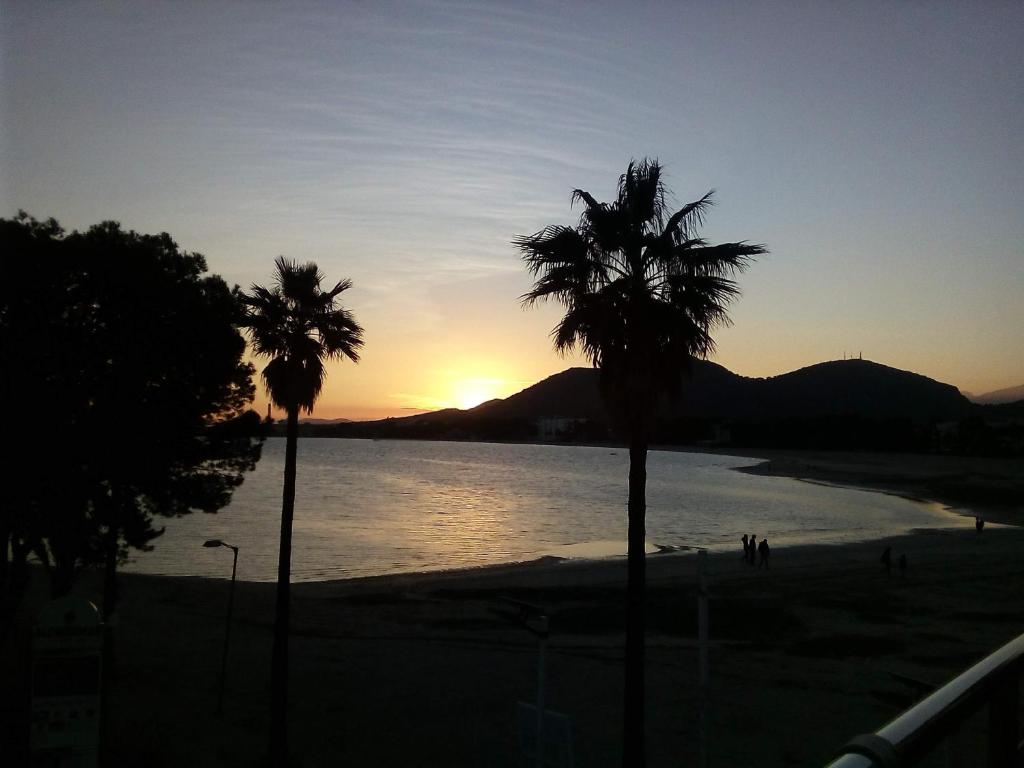 two palm trees on a beach at sunset at Laura Sunbeach in Alcudia
