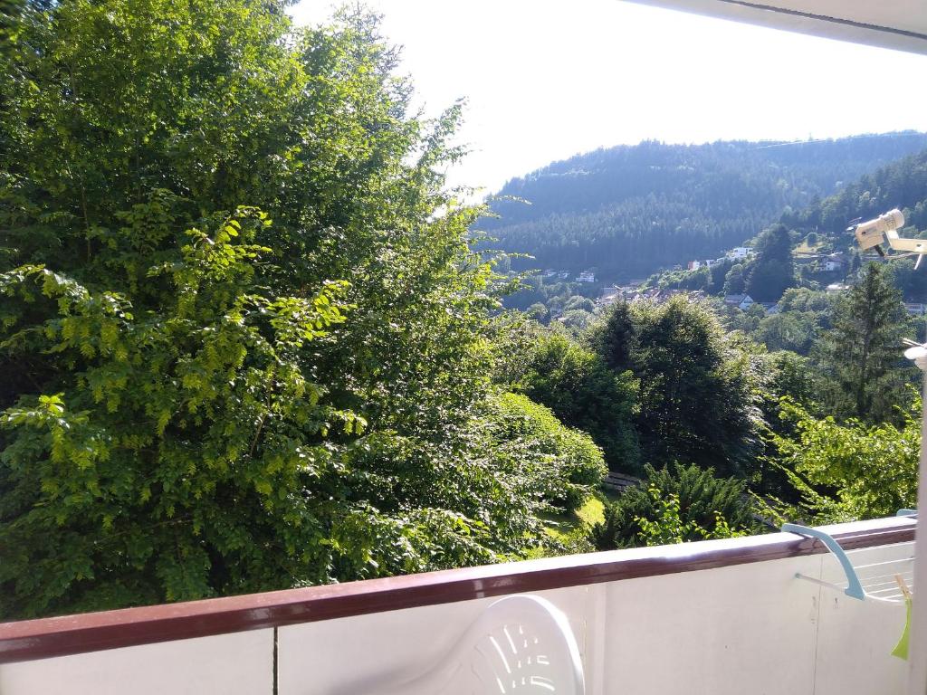 a view from the balcony of a house at Ferienwohnung Tannenwald in Bad Wildbad