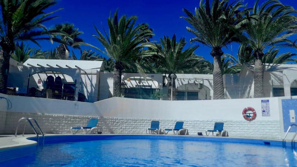 una piscina con palme sullo sfondo di La Casita de Galaila a Costa Calma
