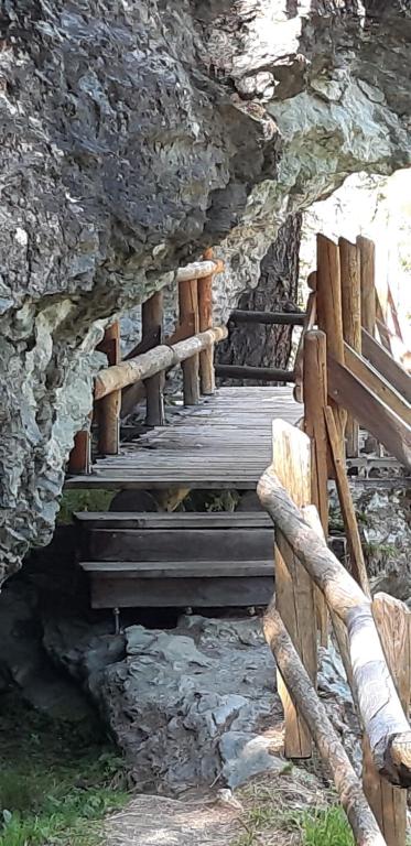Příroda nedaleko apartmánu
