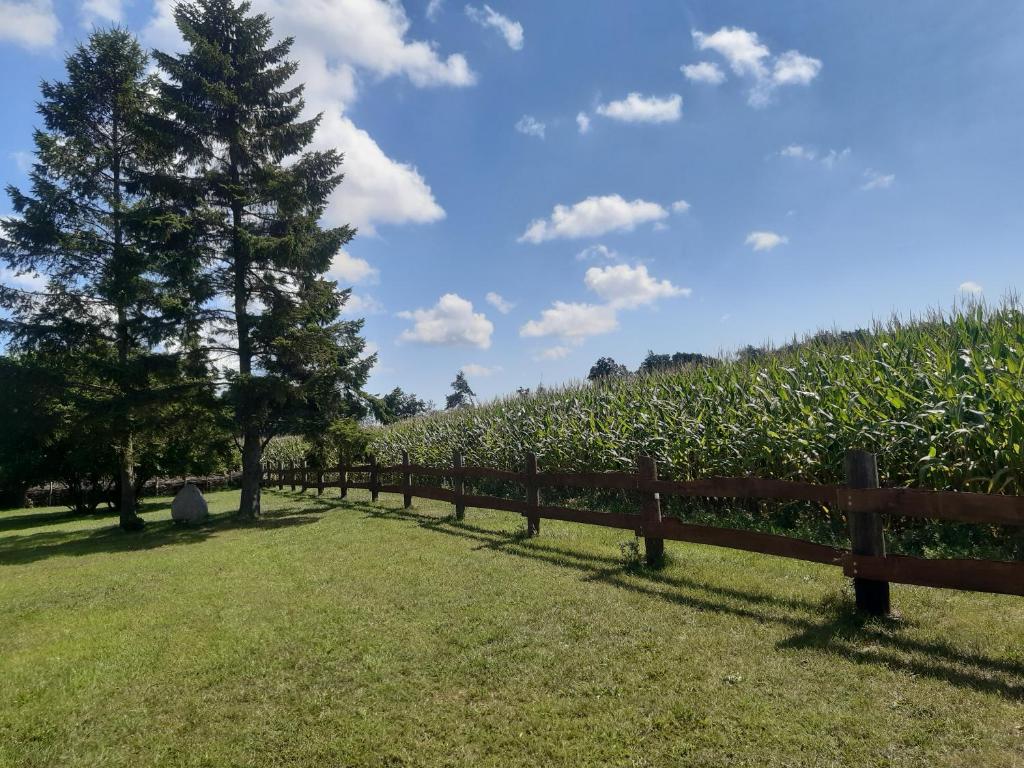 Ferienwohnung Wald und Weitblick - Апартаменты с 2 спальнями
