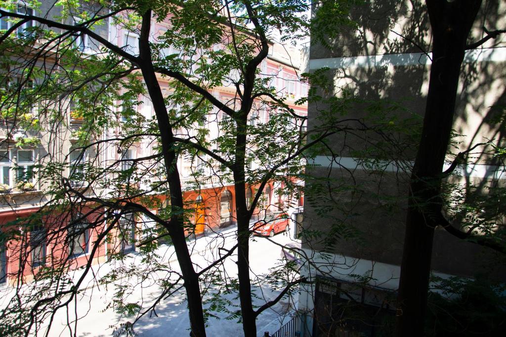 Fotografie z fotogalerie ubytování Evergreen Budapest Guest House v Budapešti