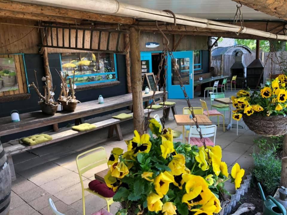 een patio met een bos gele zonnebloemen bij De Buitenboel Bijons4 in Holthees