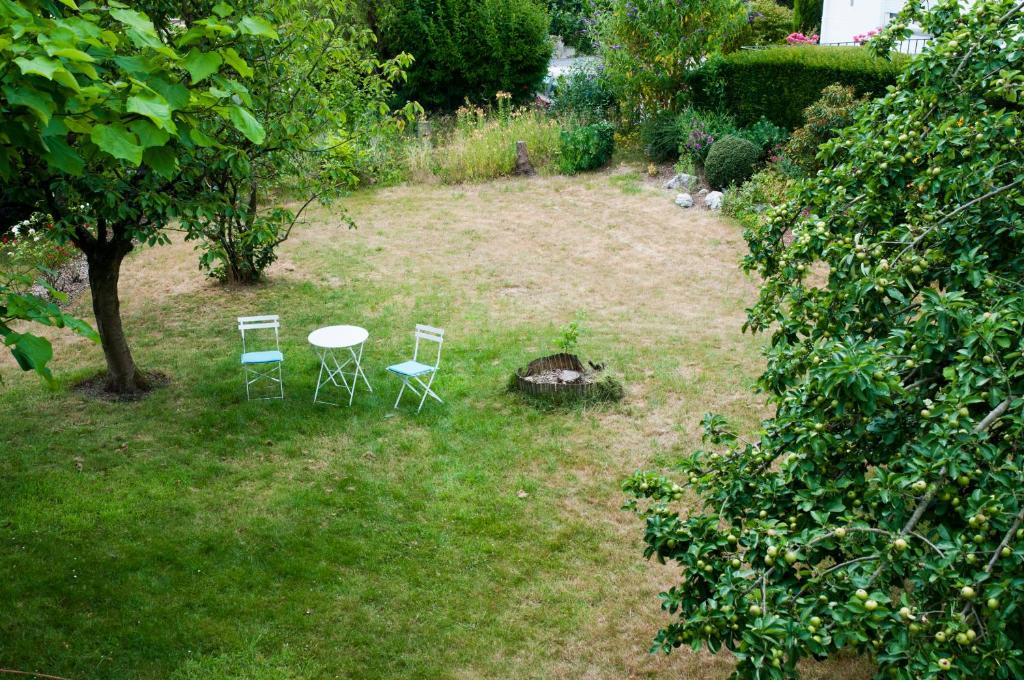Zahrada ubytování Wellintown Guest House