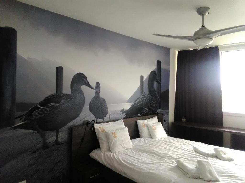 Fotografia z galérie ubytovania Balinn rooms v destinácii Balatonszepezd
