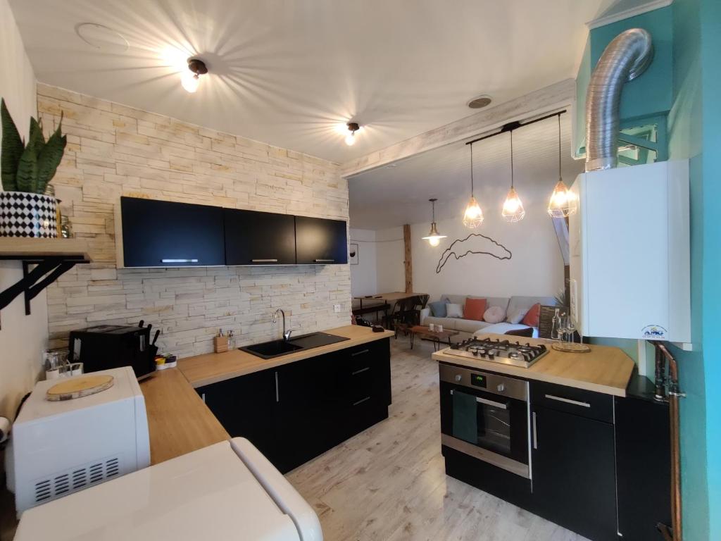 Appartement Hyper Centre Evian - Leman Odyssey في إيفيان لي بان: مطبخ وغرفة معيشة مع فرن علوي وموقد