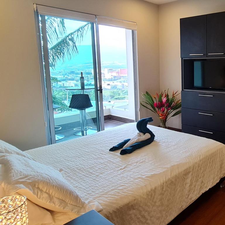 Un dormitorio con una cama con una ventana grande. en Cozy private Apartment, Mirador Escazú -Great view-, en Escazú